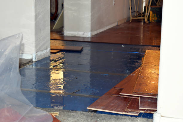 Professional Water Extraction technician working in Chappell Hill, TX